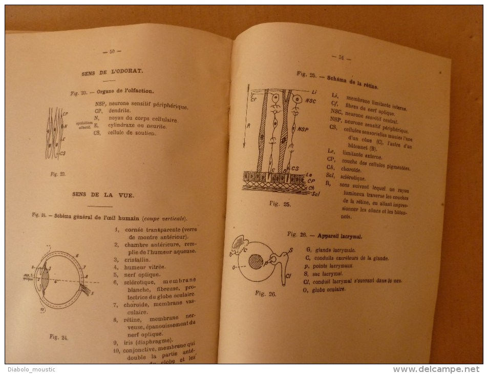 1925-1926      Ecole Spéciale Militaire de St-Cyr          ATLAS d' ANATOMIE et de PHYSIOLOGIE