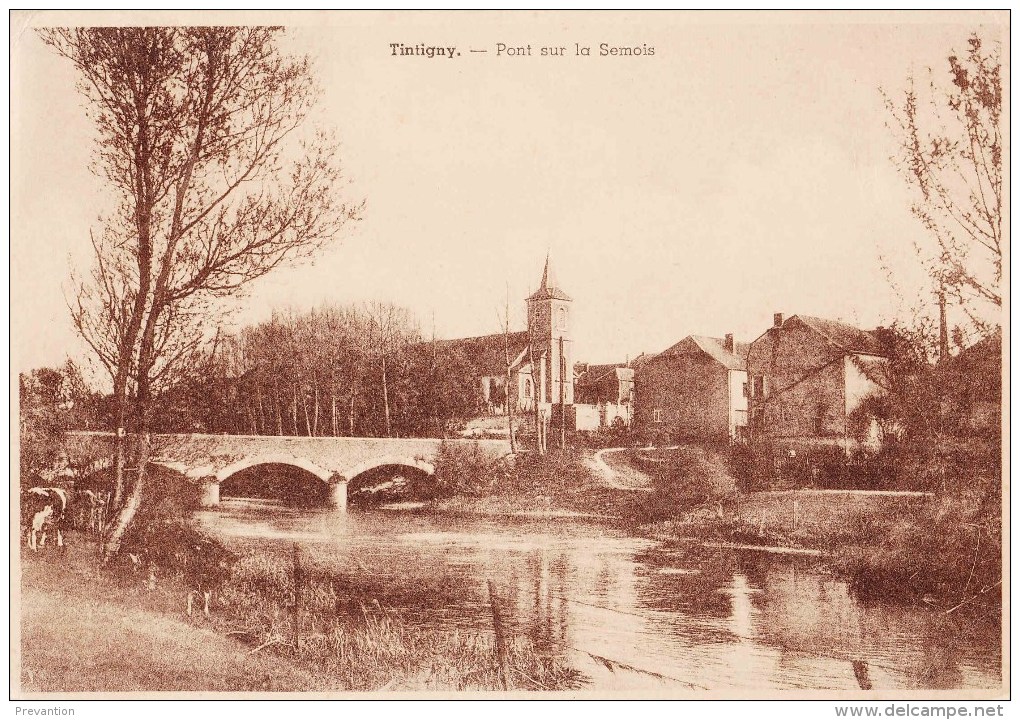 TINTIGNY - Pont Sur La Semois - Tintigny