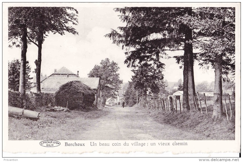 BERCHEUX - Un Beau Coin Du Village : Un Vieux Chemin - Vaux-sur-Sûre