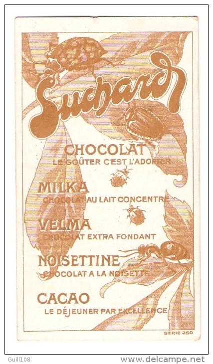 Chromo Cacao Chocolat Suchard Insecte Cyphus Chelodrome Chili A6-40 - Suchard