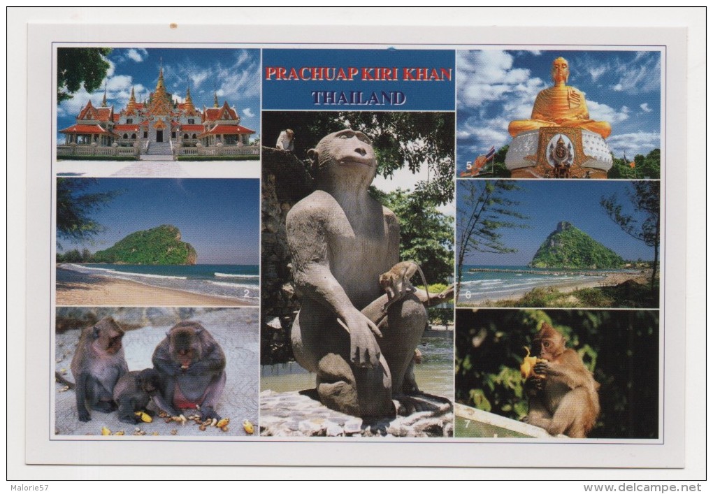 CP - THAILANDE - Thaïlande