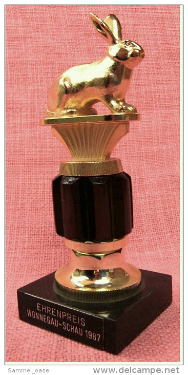 Pokal Kaninchen-Zucht-Verein  -  Ehrenpreis Wonnegau-Schau  -  Ca. 18 Cm Länge  -  Von 1987 - Autres & Non Classés