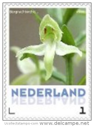 Nederland  2013-9  Ucollect Orchidee Bergnachtorchis  Postfris/mnh/neuf - Unused Stamps