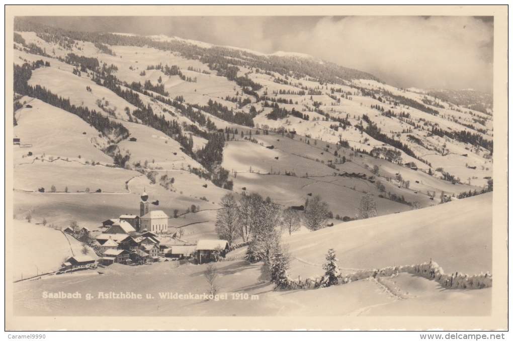 Saalbach G Asitzhöhe U Wildenkarkogel 1910m         Scan 8364 - Saalbach