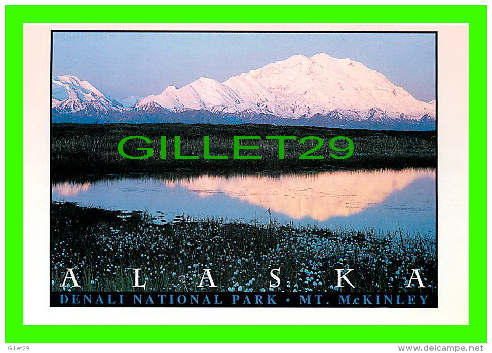 DENALI,  ALASKA  - MT. McKINLEY IN DENALI NATIONAL PARK - ARTIC CIRCLE ENTREPRISES - PHOTO BY FRED HIRSCHMANN - - Other & Unclassified