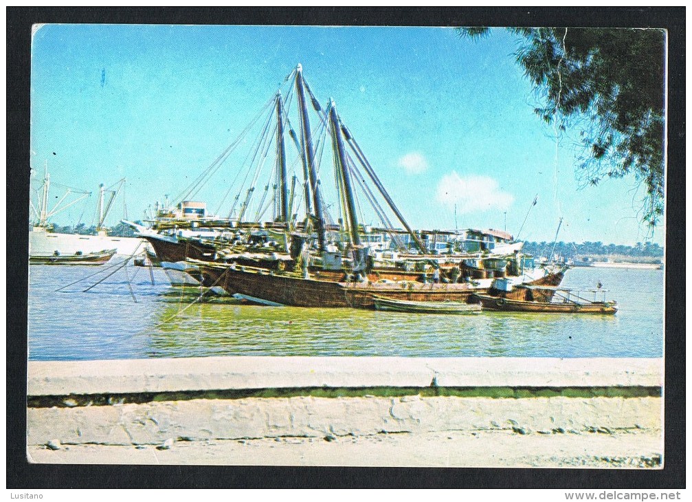 IRAK IRAQ - SHATT AL ARAB - BASRAH - VOILIER BATEAU SAILING BOAT 1970s POSTCARD ( 2 SCANS ) - Irak