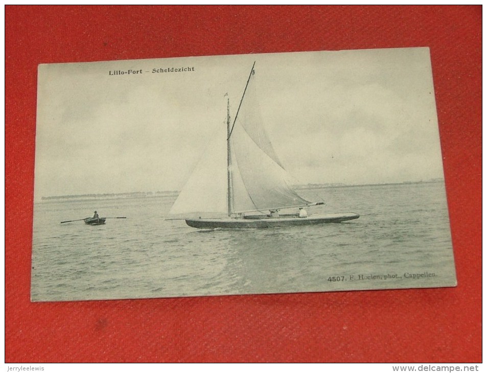 BERENDRECHT-ZANDVLIET-LILLO - Lillo-Port - Scheldezicht    - (2 Scans) - Antwerpen