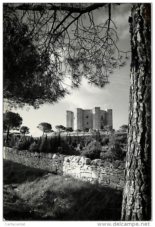 ANDRIA. VEDUTA DI CASTEL DEL MONTE. CARTOLINA ANNI '50 - Andria