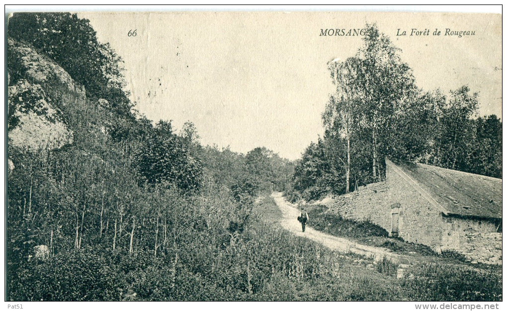 91 - Morsang : La Forêt De Rougeau - Morsang Sur Orge
