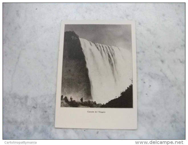 Viaggio Nell'america Del Nord Per L'esposizione Di Chicago 1933 I Grandi Viaggi  Cascate Del Niagara - Esposizioni