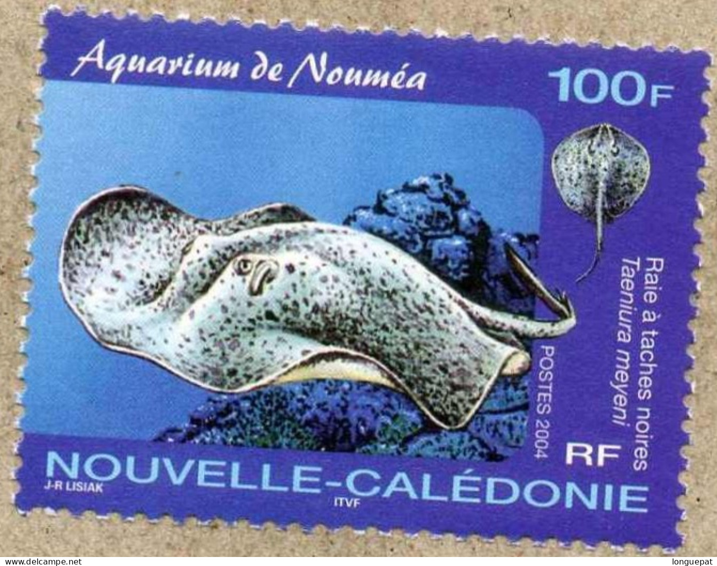 Nelle-CALEDONIE : Raie à Pointd Noirs Et Bleus  (Dasyatis Kuhlii) - Aquarium De Nouméa - Faune Marine - Poissons - - Neufs