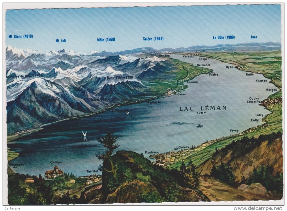 SUISSE,SWITZERLAND,SWISS, HELVETIA,SCHWEIZ,lac Leman,relief,glacier,carte,map Jaeger - Autres & Non Classés