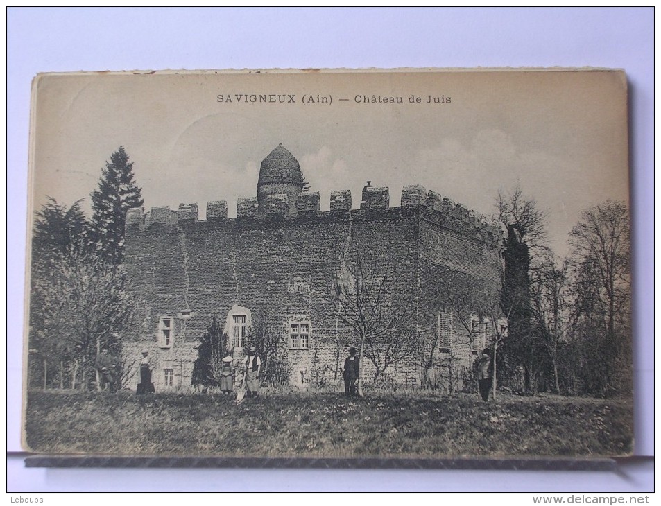 SAVIGNEUX (OU ARS?) (01) - CHATEAU DE JUYS - ANIMEE - Ars-sur-Formans