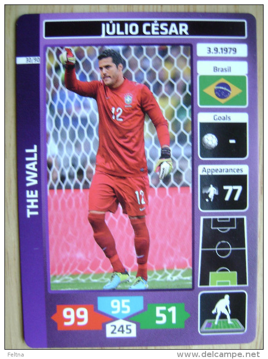 2014 PANINI CARD (NOT STICKER) FIFA SOCCER WORLD CUP JULIO CESAR BRASIL - Other & Unclassified