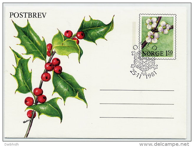 NORWAY 1981 Christmas Overprinted Postal Stationery Letter Sheet, Cancelled.  Michel K53 - Postal Stationery