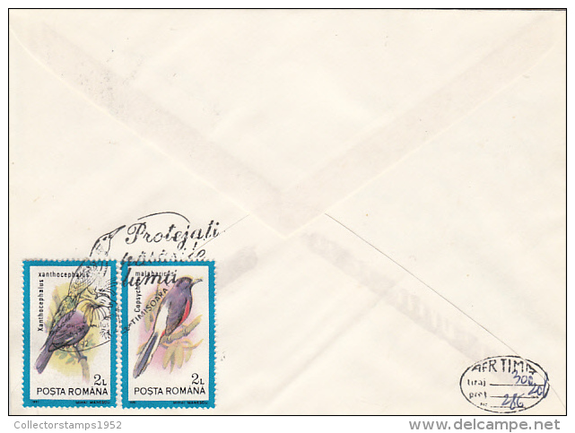 2482- BIRDS, WHITE HEADED HOOD HOOPOE, SPECIAL COVER, 1992, ROMANIA - Specht- & Bartvögel