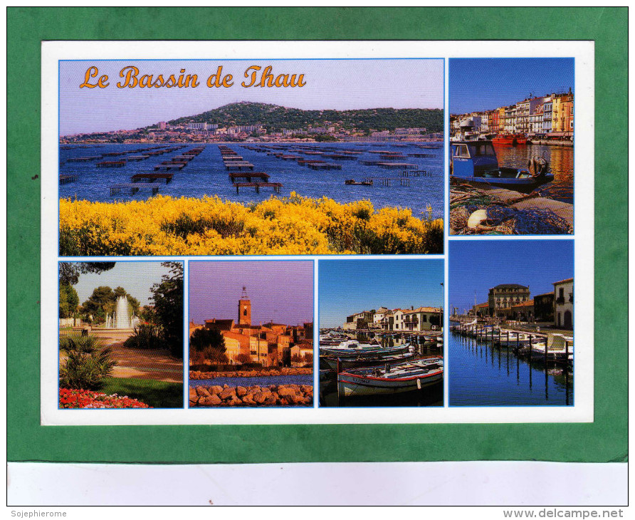 Le Bassin De Thau éleveurs De Coquillages De Marseillan Mèze Bouzigues (église), Thermes De Balaruc Et Sète - Autres & Non Classés