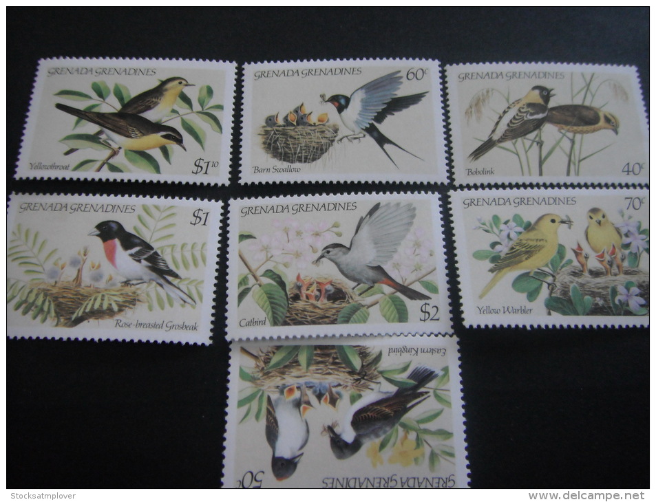 Grenada Grenadines -Birds - Piciformes (pájaros Carpinteros)