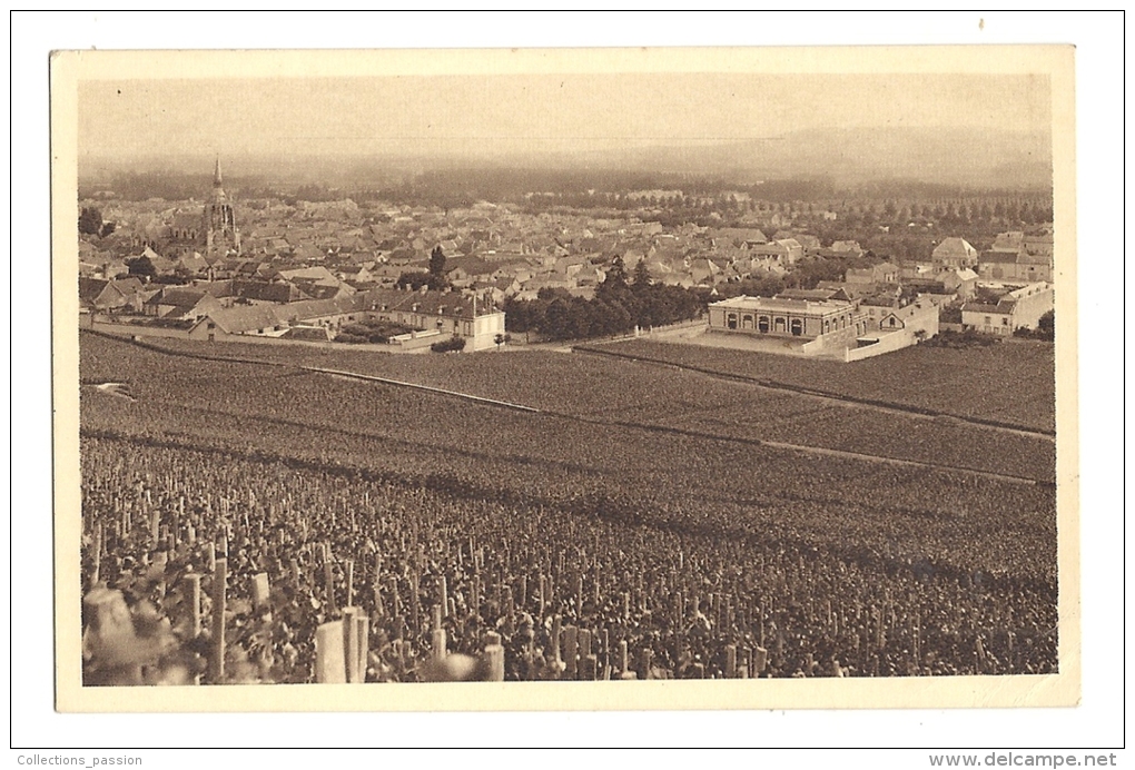 Cp, Agriculture, Collection Champagne Pommery Et Greno - Reims (51) - Vignoble D'Ay, 1er Cru De Raisins Noirs - Vignes