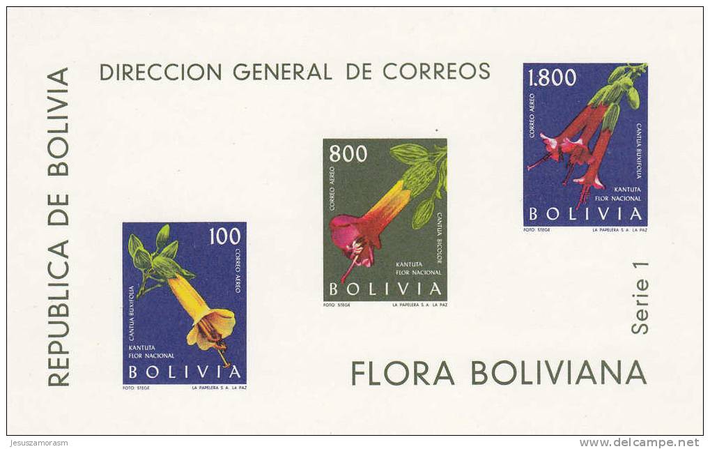 Bolivia HB 15 Con Charnela - Bolivia