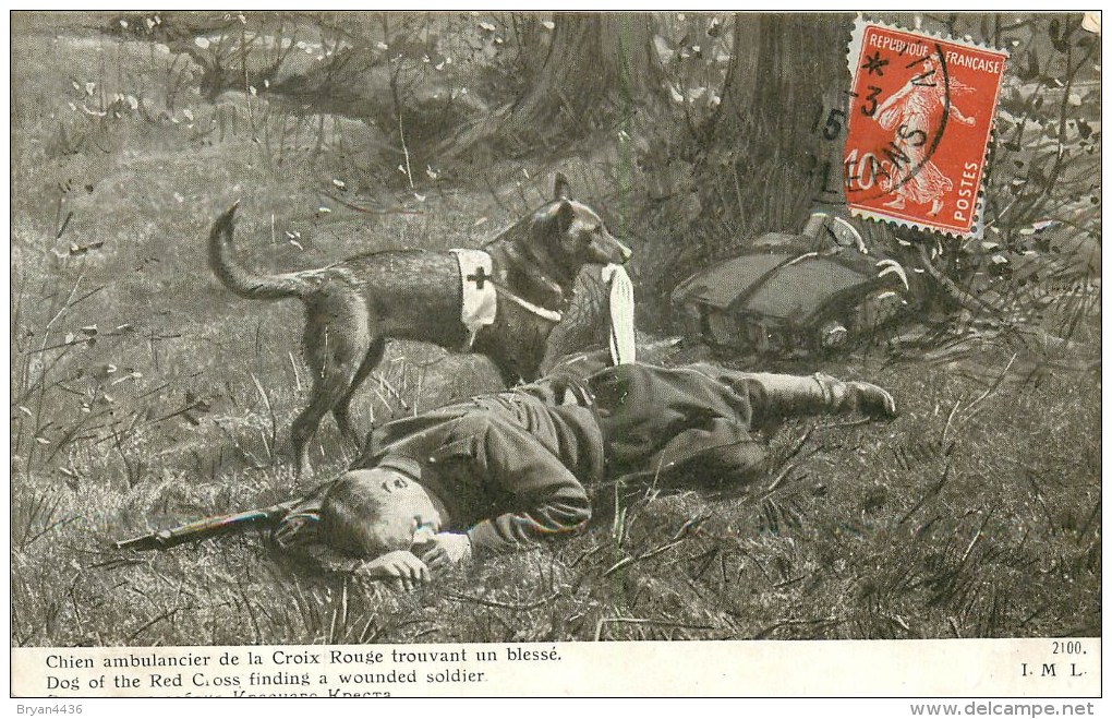 Chien Militaire - Service De Santé Des Armées - ** Chien Ambulancier Trouvant Un Blessé ** - Cpa En Bon état - Guerre 1914-18