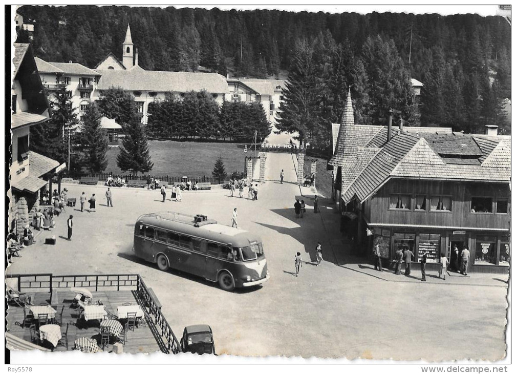 TRENTINO ALTO ADIGE-TRENTO-MADONNA DI CAMPIGLIO PIAZZA ARRIVO AUTO CORRIERA ANIMATA - Other & Unclassified