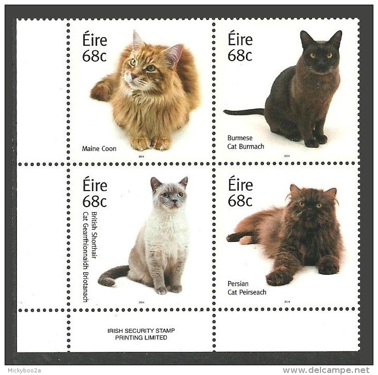 IRELAND 2014 CATS DOMESTIC BRITISH SHORTHAIR BURMESE MAINE COON PERSIAN SET MNH. - Unused Stamps