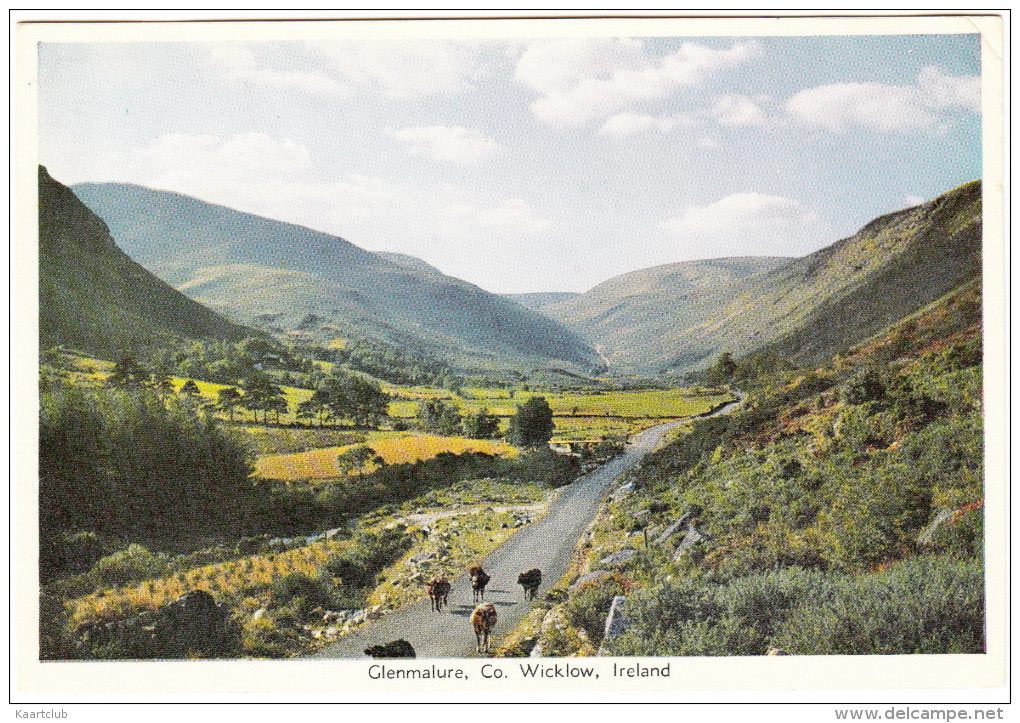 Glenmalure , Co. Wicklow  (1968) -  Ireland / Eire - Wicklow