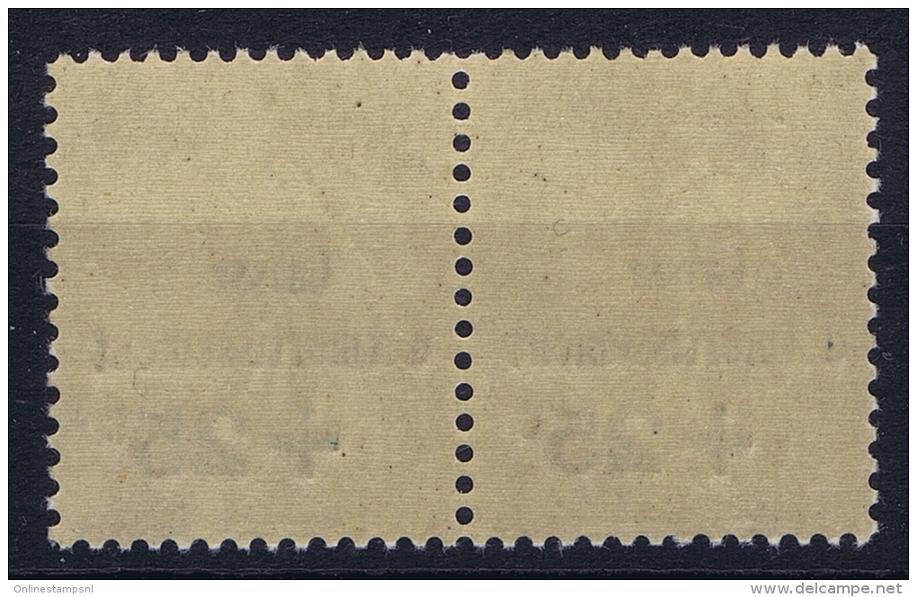 France 1928 Yvert 250  Paire MNH/**  RR - 1927-31 Cassa Di Ammortamento