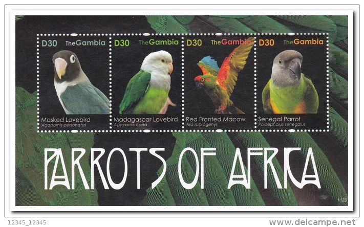 Gambia 2011, Postfris MNH, Parrots - Gambia (1965-...)