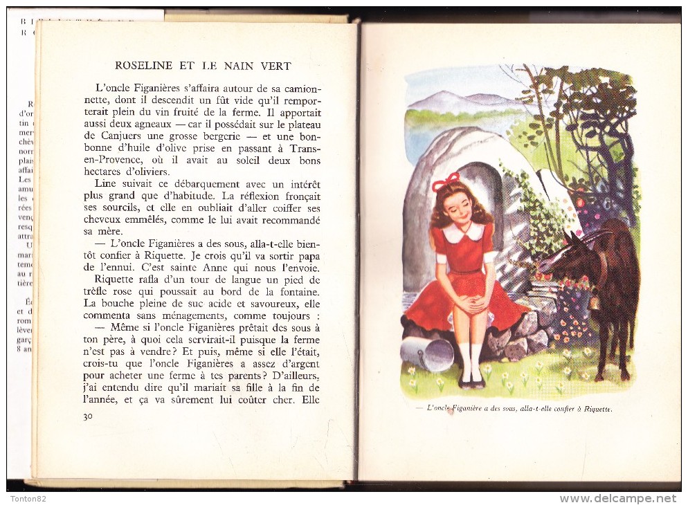 Michèle Arnéguy - Roseline Et Le Nain Vert - Bibliothèque Rouge Et Or Souveraine - ( 1957 ) . - Bibliothèque Rouge Et Or