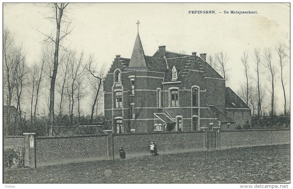 Pepingen - De Meijesschool -1926 ( Verso Zien ) - Pepingen