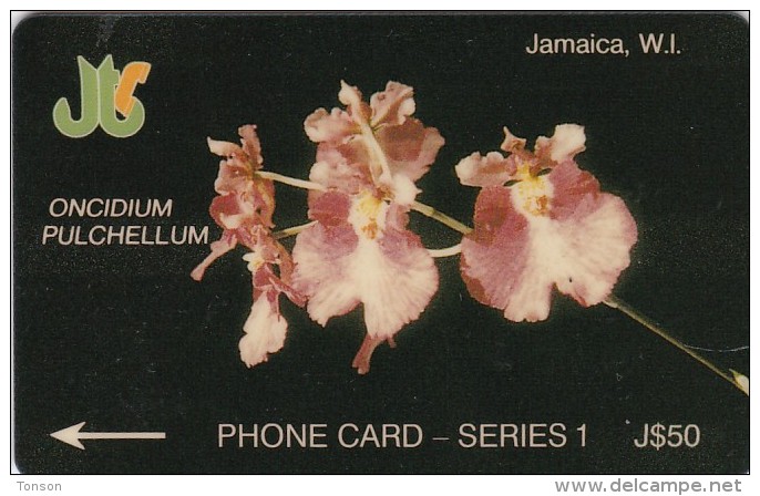 Jamaica, JAM-1D, Papilio Homerus, Orchid, 2 Scans.   1JAMD  W - Giamaica