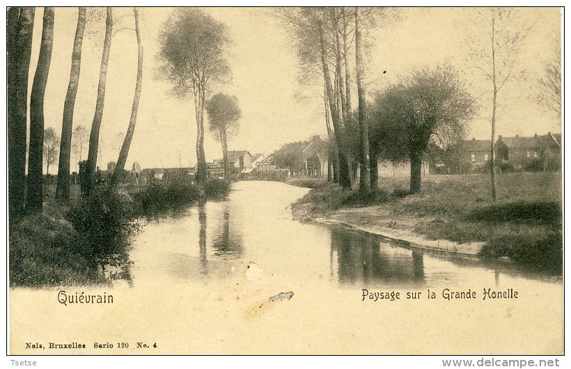 Quiévrain - Paysage Sur La Grande Honelle ( Voir Verso ) - Quiévrain