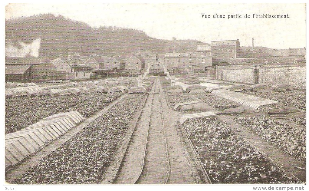 Huy Vue D'une Partie De L'établissement J.collette Ronchaine (coin Sup.gauche) - Hoei