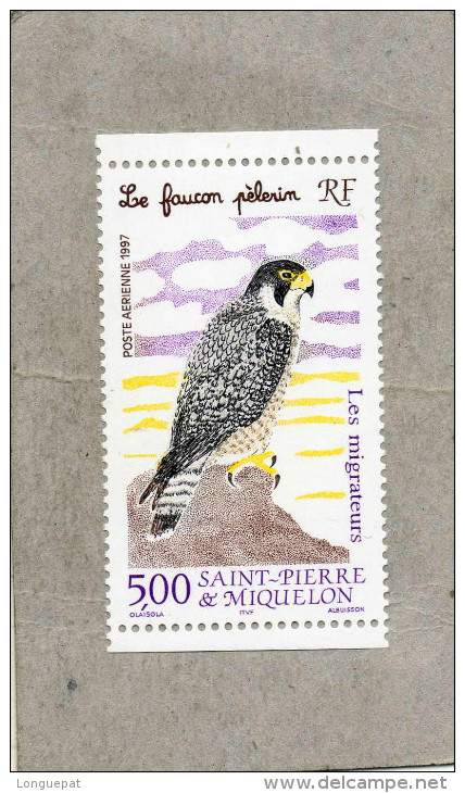 Saint-P. Et M. : Oiseau - Faucon Pélerin (Falco Peregrinus) - Rapace - Oiseau Migrateur - - Neufs