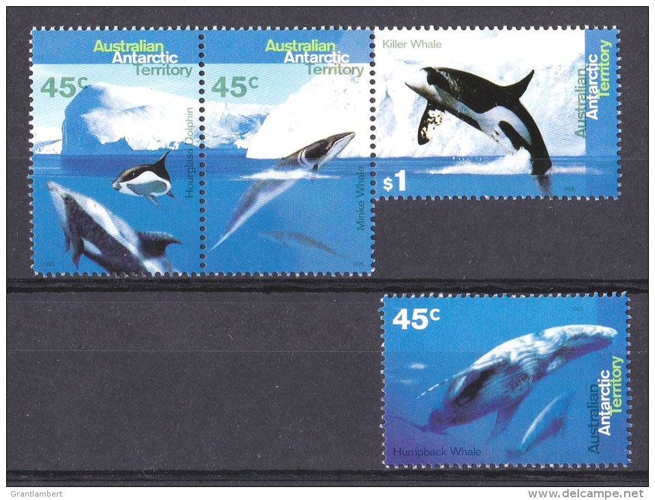 Australian Antarctic 1995 Whales &amp; Dolphins Set Of 4 MNH - Unused Stamps