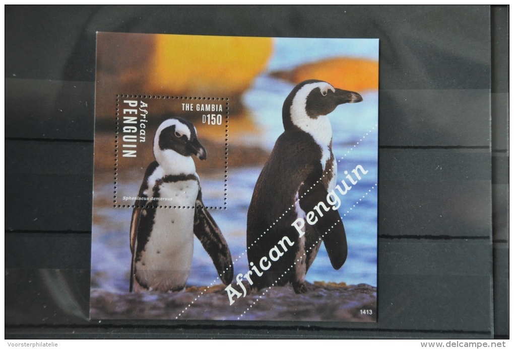 O 226 ++ GAMBIA 2014 VOGELS BIRDS OISEAUX PENGUIN PINGUIN MNH ** - Gambia (1965-...)