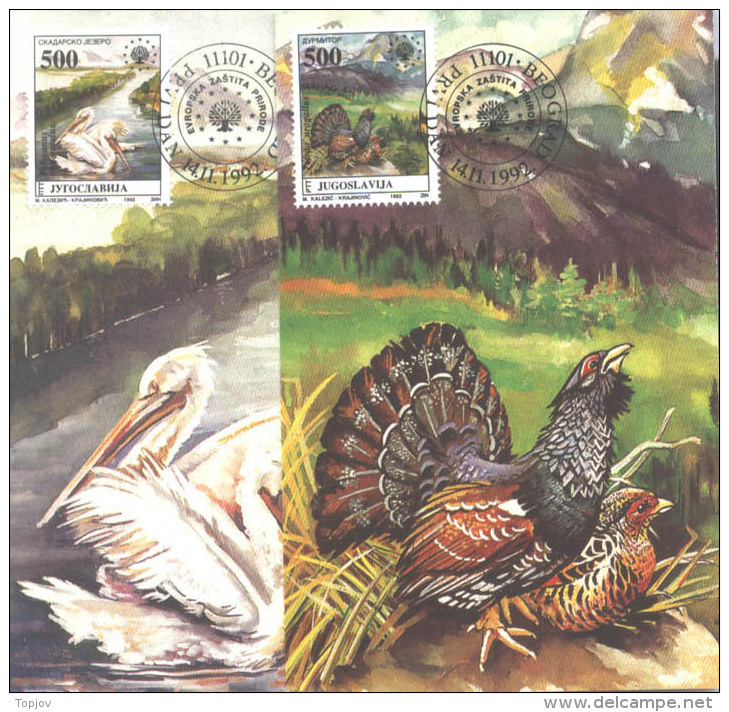 YUGOSLAVIA - JUGOSLAVIA - BIRDS - PELICANE - PEACOCK - MAX.CARD - 1992 - Pélicans