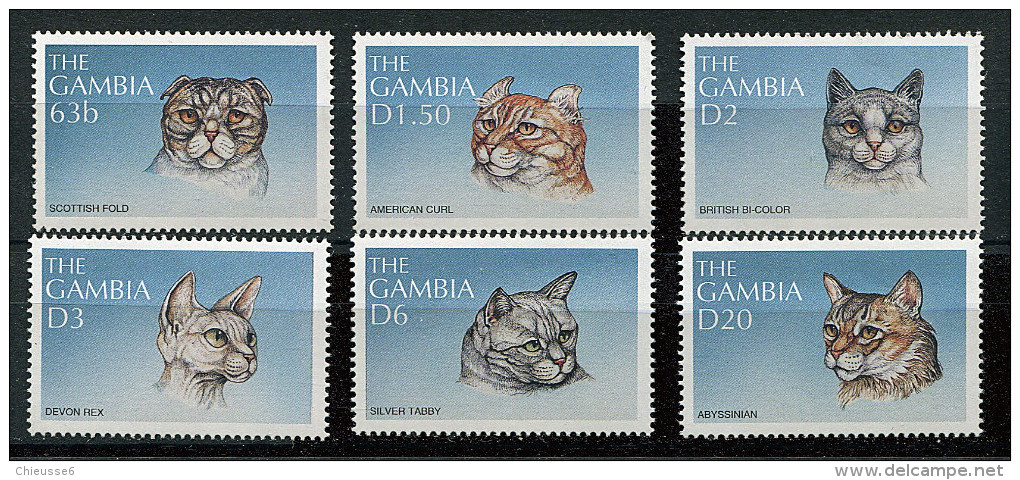 (cl 26 - P21) Gambie ** N° 2481 à 2486  (ref. Michel Au Dos) - Chats - Gambia (1965-...)