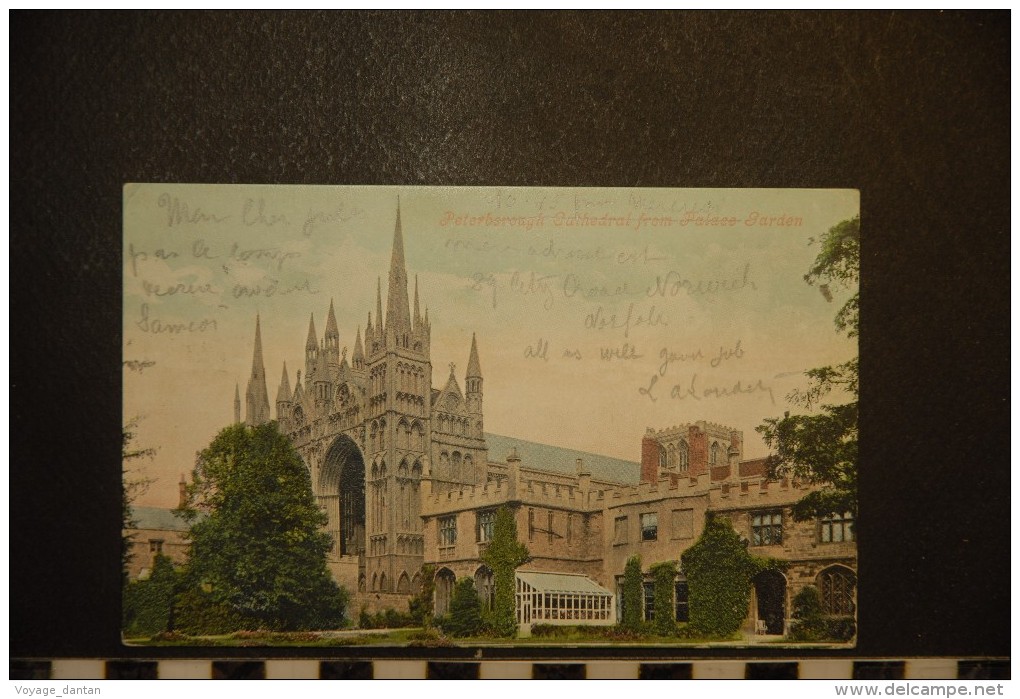 CP, Royaume Uni, Angleterre Peterborough Cathedral From Palace Garden 1908 - Other & Unclassified