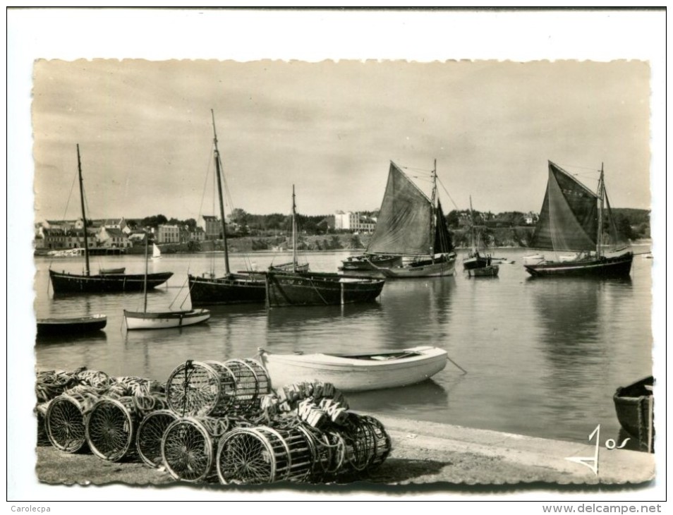 CP - MORGAT (29) BATEAUX DE PECHE DANS LE PORT - Morgat