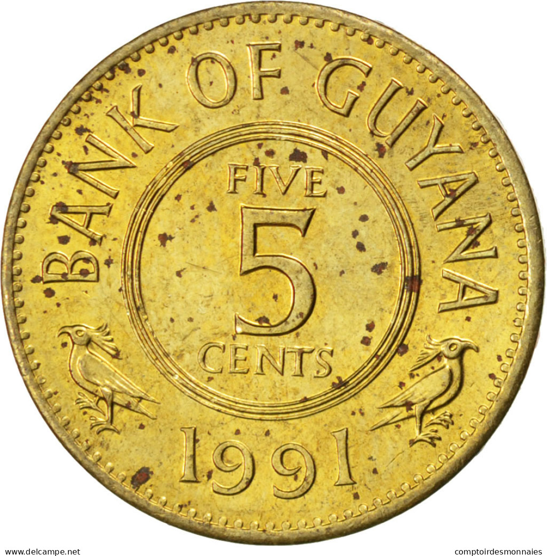 Monnaie, Guyana, 5 Cents, 1991, SPL, Nickel-brass, KM:32 - Guyana