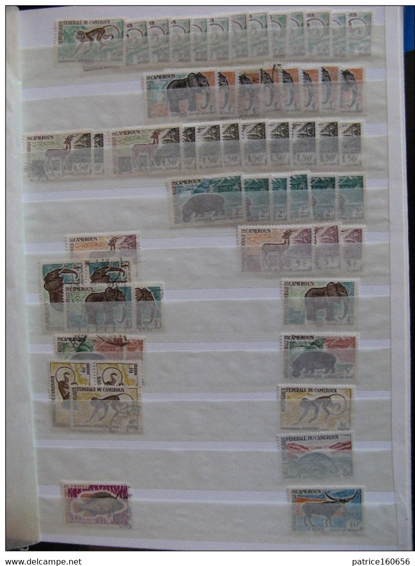 TB lot de timbres du CAMEROUN. Neufs XX, X et oblitérés.