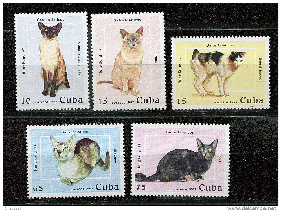 (cl 26 - P57) Cuba ** N° 3600 à 3604  (ref. Michel Au Dos)- Chats - Unused Stamps