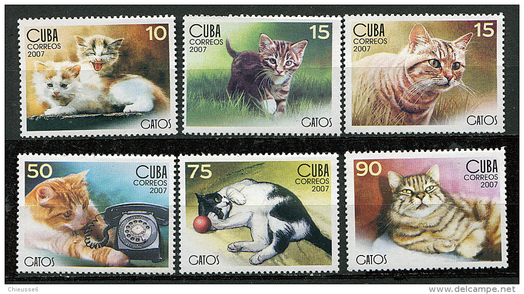 (cl 26 - P57) Cuba ** N° 4446 à 4451 - Chats - Neufs