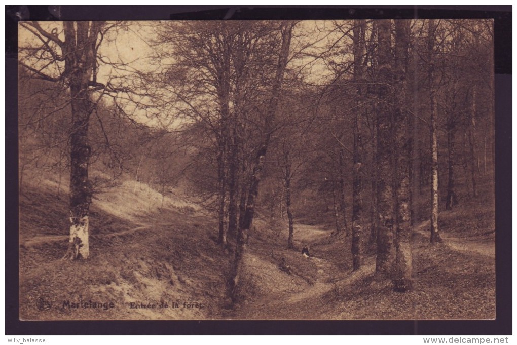 Carte Postale - MARTELANGE - Entrée De La Forêt - CPA  // - Martelange