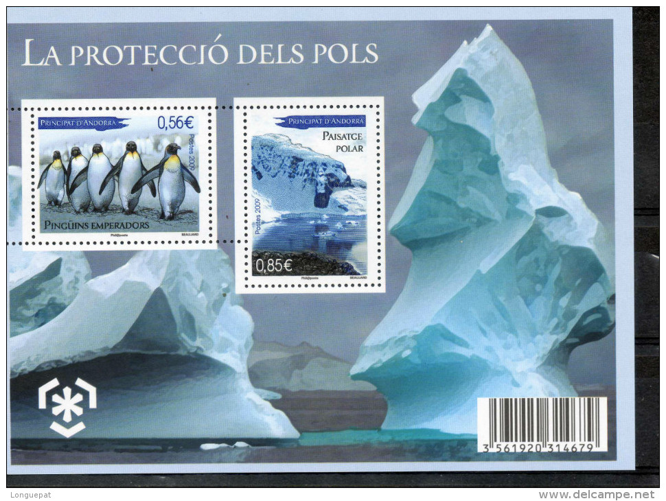 ANDORRE : Protection Des Zones Polaires Et Des Glaciers : Manchots Empereurs, Paysage Polaire - Environnement - - Blocs-feuillets