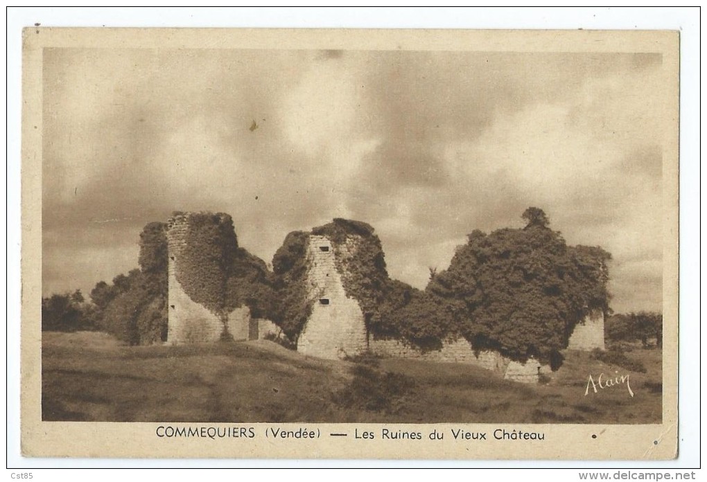 Carte Postale - Commequiers - Les Ruines Du Vieux Chateau - Autres & Non Classés