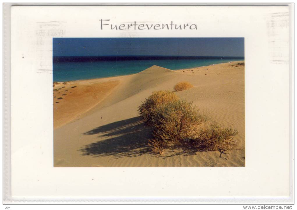 FUERTEVENTURA -  Art Edition By Luis J Soltmann - Fuerteventura